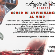 mini corso di avvicinamento al vino