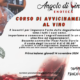 mini corso di avvicinamento al vino